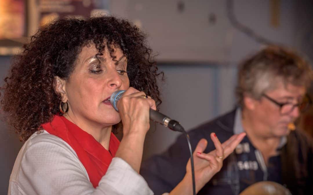 Concert au restaurant « Le Barolo », à Joinville Le Pont, le jeudi 25.04.24, à partir de 20h – Variété internationale